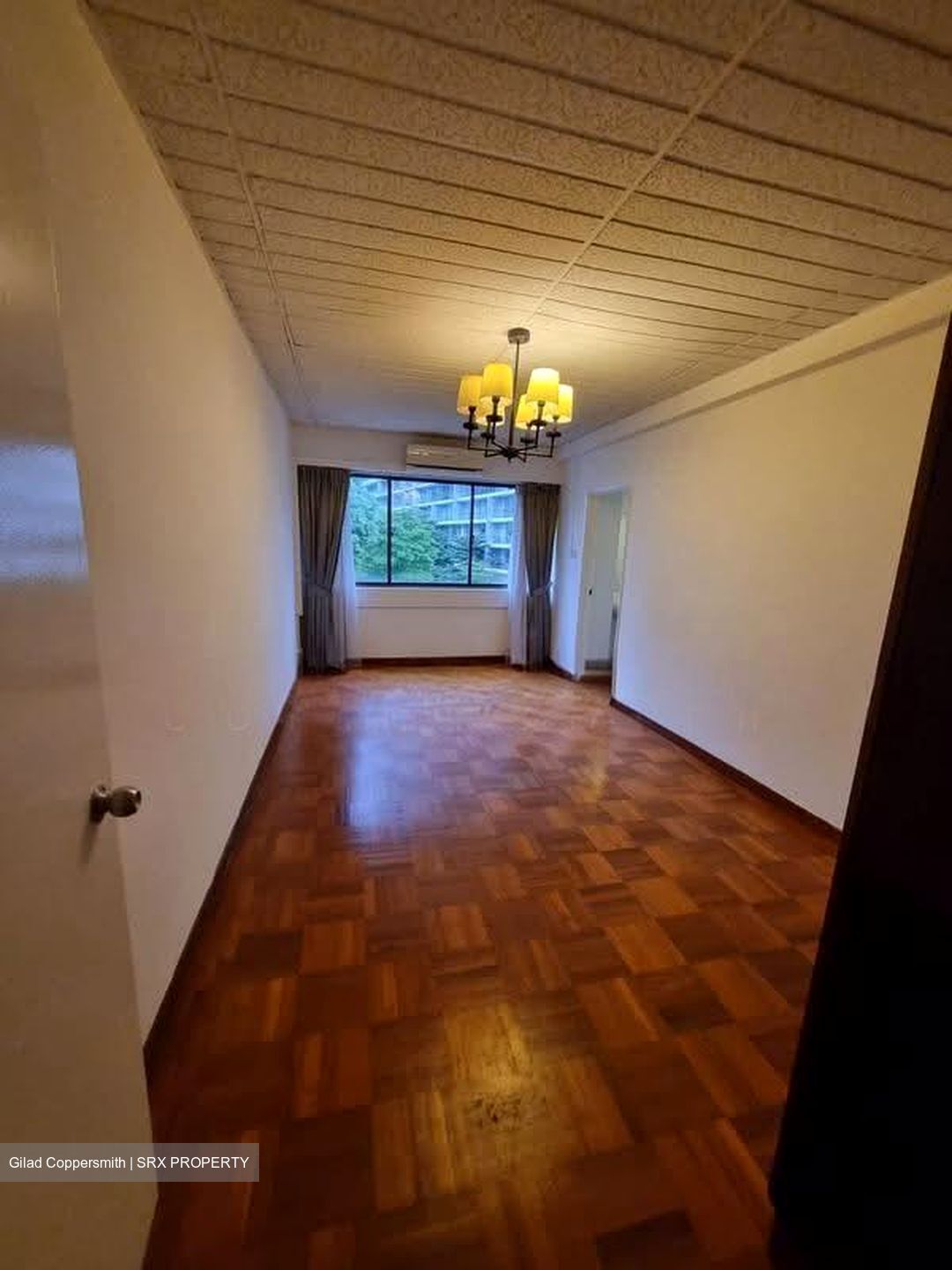 The Cairnhill (D9), Condominium #639462541